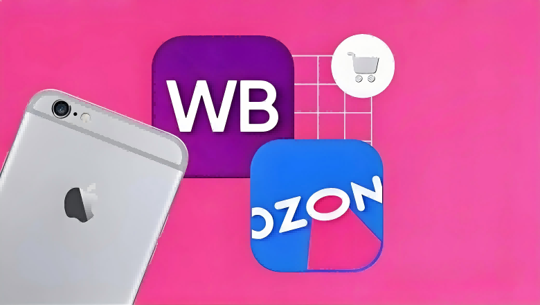 2024年俄罗斯电商市场分析报告：机遇与挑战并存的新兴市场